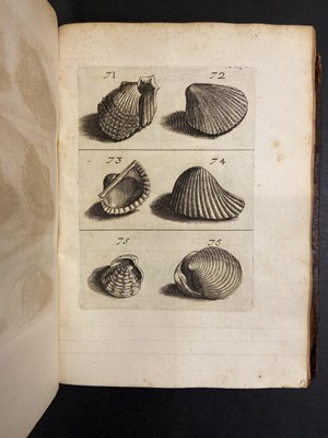 Lot 306 - Buonanni (Filippo). Ricreatione dell'occhio, 1st edition, Rome, 1681