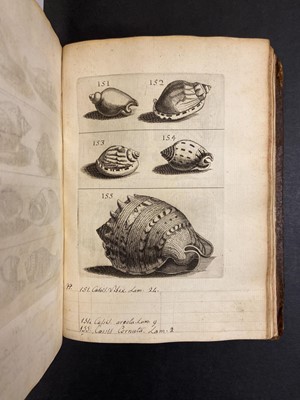 Lot 306 - Buonanni (Filippo). Ricreatione dell'occhio, 1st edition, Rome, 1681
