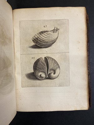 Lot 124 - Buonanni (Filippo). Ricreatione dell'occhio, 1st edition, Rome, 1681