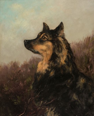 Lot 346 - Stevenson (William Grant, 1849-1919). Portrait of a collie dog in a landscape