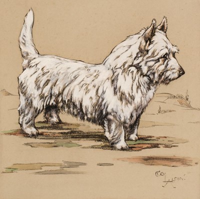 Lot 204 - Aldin (Cecil Charles Windsor 1870 - 1935). West Highland Terrier
