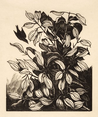 Lot 429 - Nash (John, 1893-1977). Blackbirds eating Berries, and Peace Lily