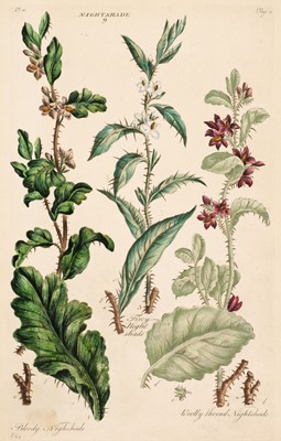 Lot 223 - Hill (John). A collection of 28 plates originally published in 'The British Herbal', circa 1756
