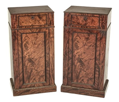 Lot 204 - Cabinets. Pair of William IV pedestal cabinets