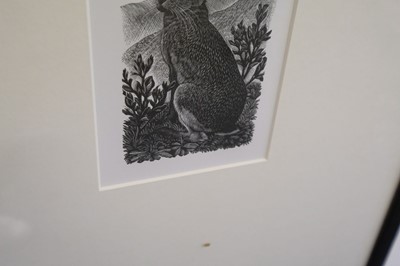 Lot 458 - Tunnicliffe (Charles Frederick1901-1978). Sitting Hare, 1949