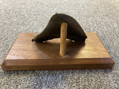 Lot 186 - Megalodon Tooth. Miocene Period