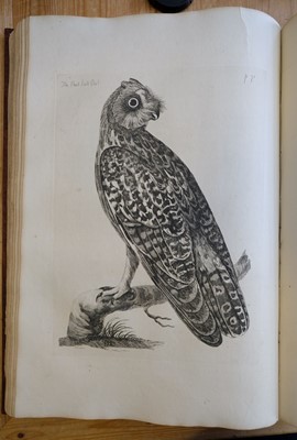Lot 65 - Pennant (Thomas). The British Zoology. Class I. Quadrupeds. II. Birds..., 1766
