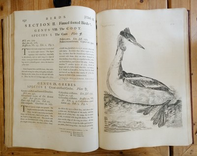 Lot 65 - Pennant (Thomas). The British Zoology. Class I. Quadrupeds. II. Birds..., 1766