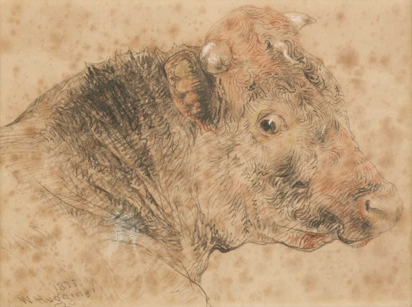 Lot 383 - Huggins (William, 1820-1884). Head of a Bull, 1873