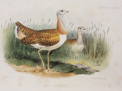 Lot 324 - Birds of British Counties.  A collection of late 19th & early 20th-century British counties ornithology reference
