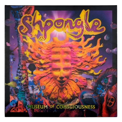 Lot 310 - Vinyl Records. Rare Shpongle "Museum of Consciousness" Limited Edition LP with 3D Lenticular cover