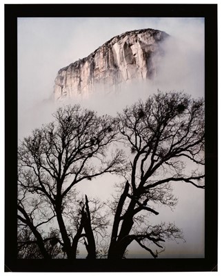 Lot 334 - Neill (William, 1954-). Black Oak & El Capitan, Yosemite National Park, California, 1982