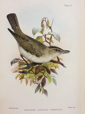 Lot 338 - Natural History. A collection of mostly early 20th-century natural history reference