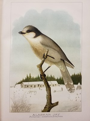 Lot 338 - Natural History. A collection of mostly early 20th-century natural history reference