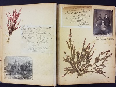 Lot 43 - Hanham (Frederick, editor). Natural Illustrations of British Grasses, 1846