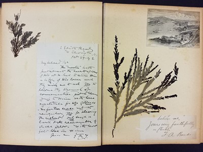 Lot 43 - Hanham (Frederick, editor). Natural Illustrations of British Grasses, 1846