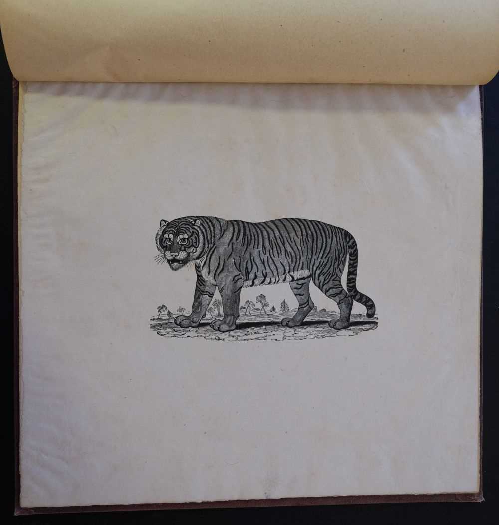 Lot 40 - Bewick (Thomas). Figures of Lion, Tiger,