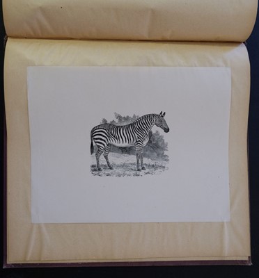 Lot 40 - Bewick (Thomas). Figures of Lion, Tiger, Elephant, and Zebra, 1799