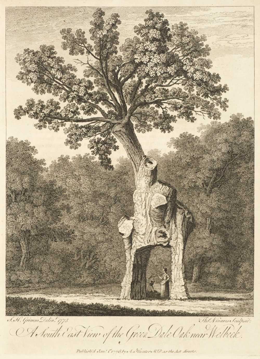 Lot 41 - Evelyn (John). Silva, 1776