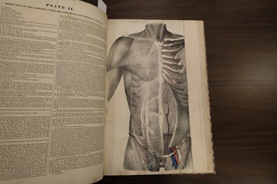 Lot 185 - Tuson (Edward William). A Supplement to Myology, 1828