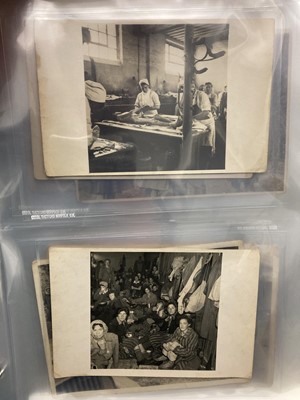 Lot 378 - Liberation of Bergen-Belsen Concentration Camp. Group of 40 vintage gelatin silver print photos