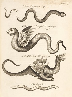 Lot 141 - Owen (Charles). An Essay Towards a Natural History of Serpents, 1st edition, 1742