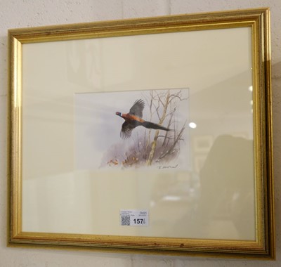 Lot 157 - McPhail (Roger). Six watercolours of Gamebirds, late 20th century