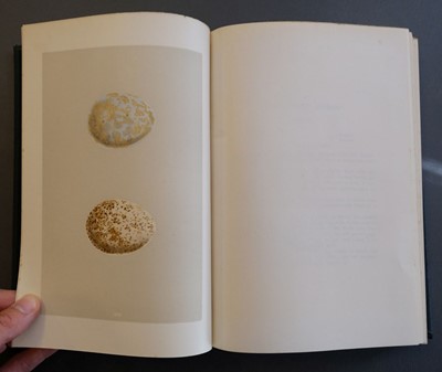 Lot 102 - Morris (F.O.) A Natural History Nests and Eggs, 3 volumes, 2nd edition, 1875