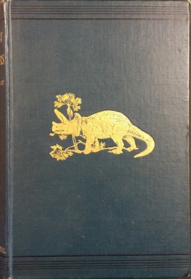 Lot 332 - Miscellaneous Literature. A large collection of 19th & early 20th-century literature & reference