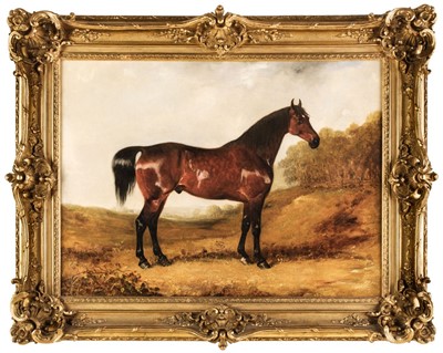 Lot 93 - Calvert (Henry, 1798-1869), Bay Stallion in an Open Landscape, oil on canvas