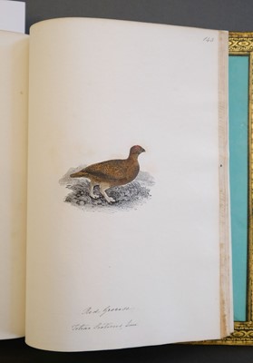 Lot 86 - Bewick (Thomas). British Land Birds/Water Birds/Quadrupeds, 1824-25