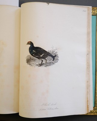 Lot 40 - Bewick (Thomas). British Land Birds/Water Birds/Quadrupeds, 1824-25