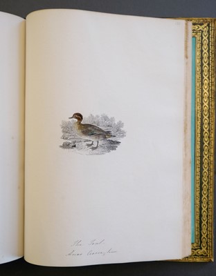 Lot 86 - Bewick (Thomas). British Land Birds/Water Birds/Quadrupeds, 1824-25