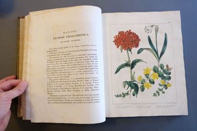 Lot 97 - Edwards (Sydenham). The New Botanic Garden, 2 volumes, 1812