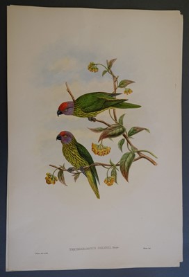 Lot 149 - Gould (John & Richter H. C.). A collection of five lithographs, circa 1850