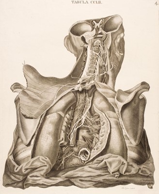 Lot 168 - Anatomy. Caldani (Leopoldo M. A.), 43 engraved plates, circa 1813