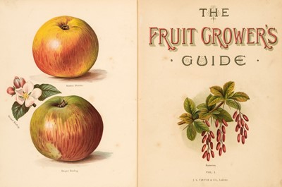 Lot 74 - Wright (John). Fruit Grower's Guide, 3 volumes, London: H Virtue & Company, 1892