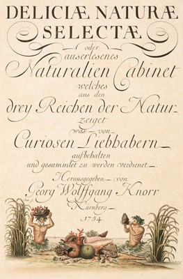 Lot 66 - Knorr (Georg Wolffgang). Deliciae naturae selectae, oder auserlesenes ..., 1766-1777