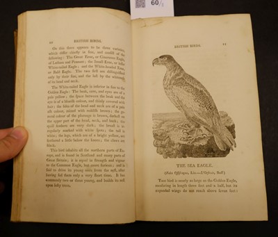 Lot 60 - Bewick (Thomas). History of British Birds (Land/Water Birds), 2 vols. 1st ed., Newcastle, 1797-1804