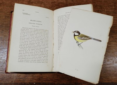 Lot 67 - Meyer (Henry Leonard). Coloured Illustrations of British Birds, 7 volumes, 1853-57