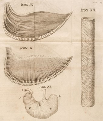 Lot 383 - Peyer (Johann Conrad). Merycologia sive de ruminantibus... , 1st edition, Basel, 1785