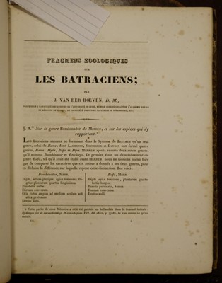 Lot 363 - Hoeven (Jan van der). A collection of 19 of Hoeven's works bound in two volumes, 1820/1867