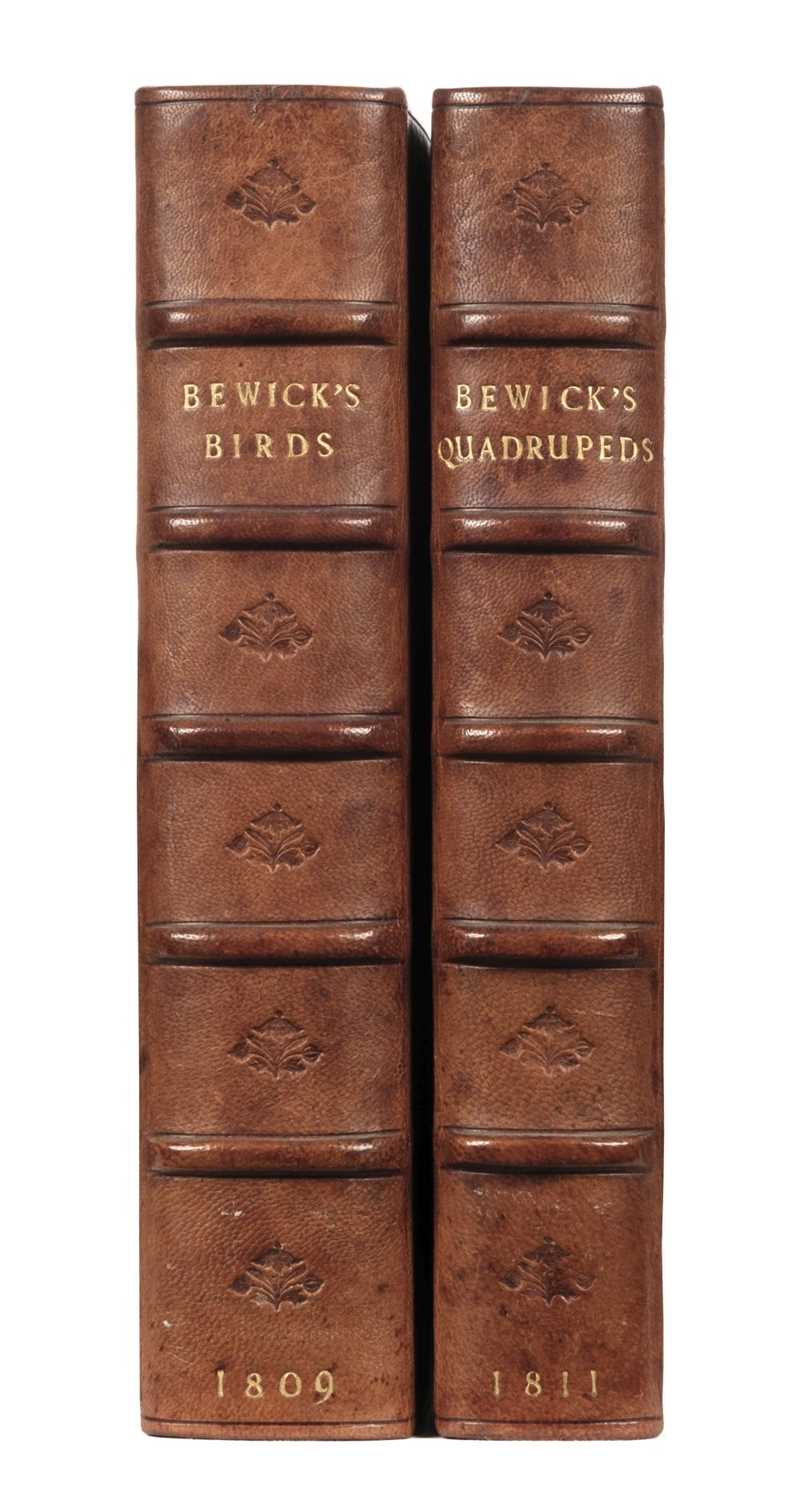 Lot 39 - Bewick (Thomas). A History of British Birds, 2 vols. in 1 (Land & Water), Newcastle, 1809
