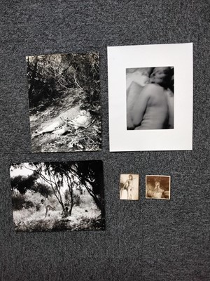 Lot 563 - Nudes. A group of 15 photographs of female nudes, 20th century