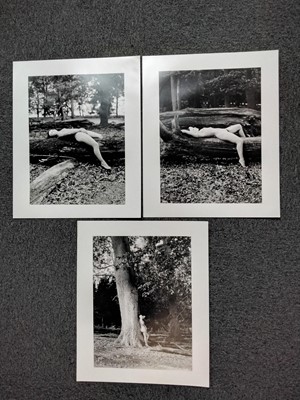 Lot 563 - Nudes. A group of 15 photographs of female nudes, 20th century