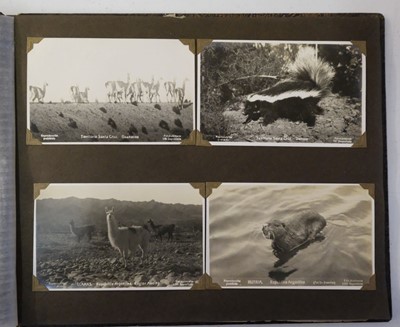 Lot 473 - Argentina. Album of 159 views of Buenos Aires, Tucuman etc., 1925-1930