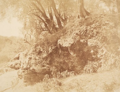 Lot 490 - Caneva (Giacomo, 1813-1865). Study with Rocks and Trees, Campagna Romana, c. 1853-55