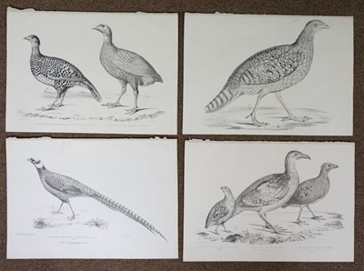 Lot 188 - Natural History. A mixed collection of approximately 125 prints & engravings, 18th & 19th century