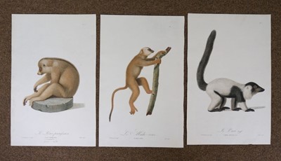 Lot 188 - Natural History. A mixed collection of approximately 125 prints & engravings, 18th & 19th century