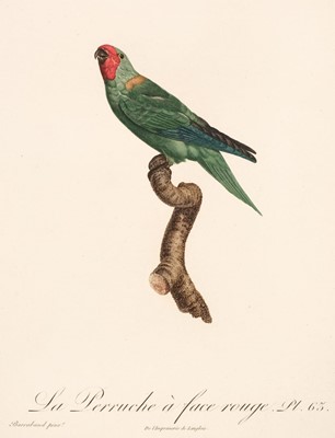 Lot 187 - Natural History. A collection of approximately 150 prints, 18th & 19th century